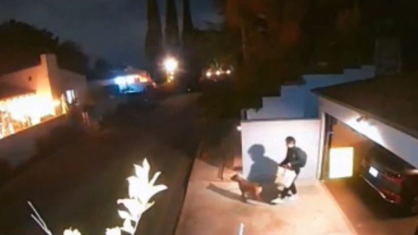 A security camera shows a man and dog as they encounter a mountain lion in the Hollywood Hills Tuesday Dec. 7, 2022.